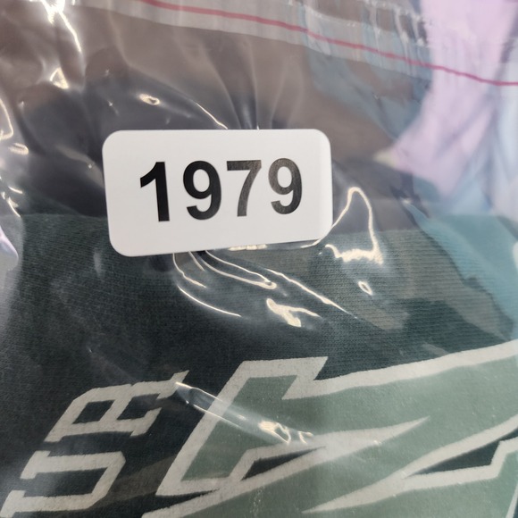 Morgan Wallen One Night At A Time World Tour Hoodie Green Mens Size Large - Picture 7 of 7